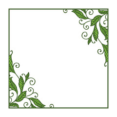 Vector illustration leaf floral frame white background hand drawn