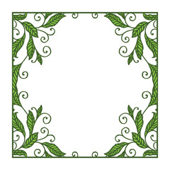 Vector illustration leaf floral frame white background hand drawn