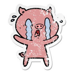 distressed sticker of a crying pig cartoon