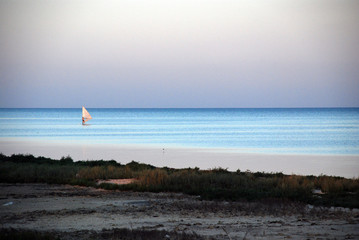 Windsurfing in the colors of the sea sunset