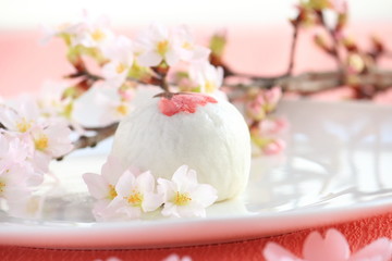 さくら饅頭とさくら（春がきた）
