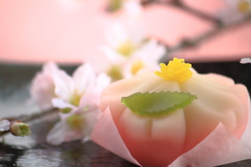 Obraz na płótnie Canvas Cherry flower shape Japanese traditional sweets made from beans and cherry blossoms (Japanese sweets) (Japanese spring sweets) 桜練り切りとサクラで花見（春の和菓子）