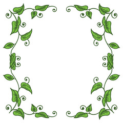 Vector illustration elegant green leaf flower frame hand drawn