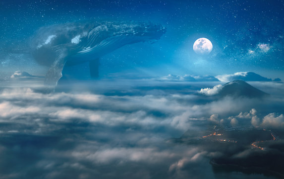 Nocturne surreal dream with clouds, big whale hovering in the space, night landscape under full moon on background