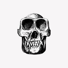 Skull in vintage style