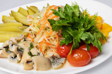 closeup of mushroom and vegetable cuts for beer, pickled cucumbers,boiled eggs and lemon with micro greens
