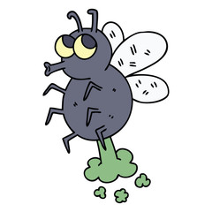 quirky hand drawn cartoon fly