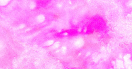 Light grunge magenta color shades watercolor background. Abstract aquarelle paint paper textured canvas for text design, greeting card, template. Gentle pink and coral gradient hand drawn illustration