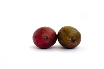 two mango isolated on white background