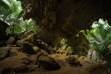The famous travel destinations Ancient forest Hup Pa Tat.