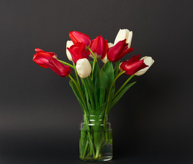 tulip flowers are in a vase on black background