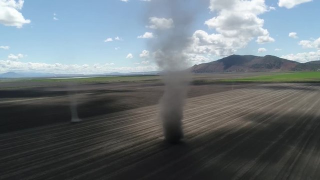 Dust Devil in Open Field