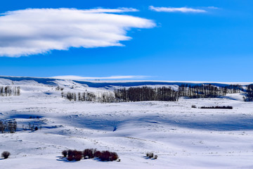 Fototapeta na wymiar Snow covered Colorado hillside with blue sky in Winter