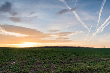 A scenic winter sunset over a large meadow.