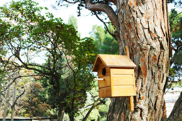 Birdhouse on a tree