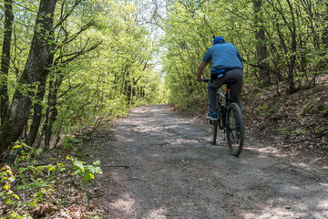 A man riding a bicycle on the driveway in the park.