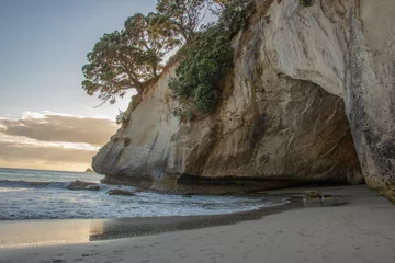 Fototapete Dom Bucht Cathedral cove ass seen from te hoho rock in Hahei, Coromandel peninsula, northern New Zealand during  sunrise  © Dustin