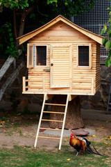 small wooden house © deviddo