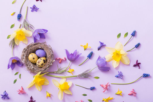 Easter eggs in nest with spring flowers - Powered by Adobe