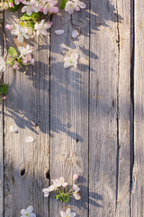 Fototapeta na wymiar spring flowers on old wooden background