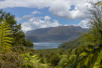 Fototapeta na wymiar Tarawera Trail, Rotorua - New Zealand