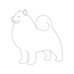 akita dog, vector illustration, lining draw,