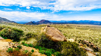 View of the Valley of the Sun and the rugged rocky mountains in the McDowell Mountain Range around Phoenix, Arizona viewed from the Tom's Thumb Trail