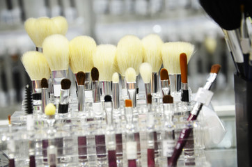 Tools of women beauty fashion cosmetic brush products for facial. Various makeup brushes on light background with copyspace for text