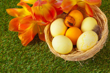 Easter Eggs with flower on Green Grass