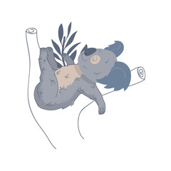 Adorable koala sleeping on eucalyptus tree. Australian marsupial animal. Wild creature. Wildlife theme. Vector design