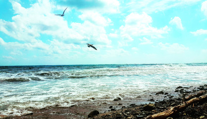 sea and blue sky
