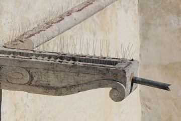 épis anti pigeons