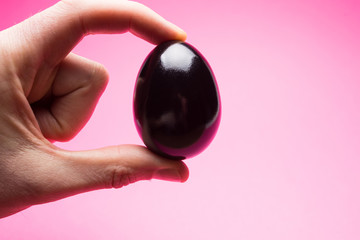 Male hand is holding a black chicken egg on a pink background.