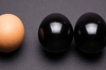 Black and brown egg on a gray background close-up