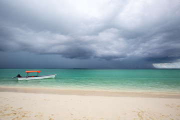 Obraz premium boat on the beach