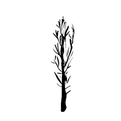 Tree silhouette. Hand drawn vector illustration.