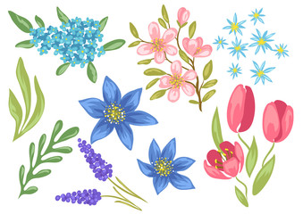 Set of spring flowers. Beautiful decorative natural plants.