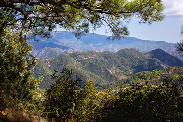 Fototapeta na wymiar The view of Troodos mountains from top. With cedars on the foreground