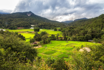 Rice fields and nature at Mae Klang Luang, Doi Inthanon,Chiang Mai,Thailand