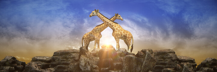 Giraffe at sunset. 3d rendering	