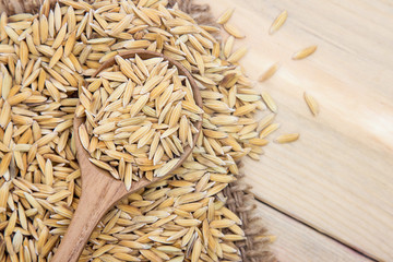 paddy rice  on wooden table 