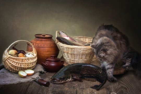 Still life with catfish and frightened young kitty