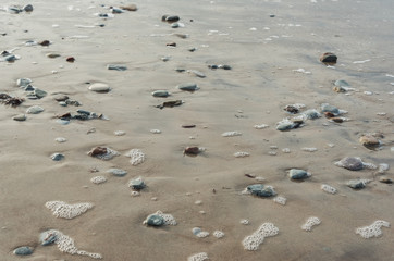 Baltic sea coastline.