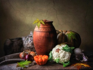 Autumn still life with vegetables and curious kitty