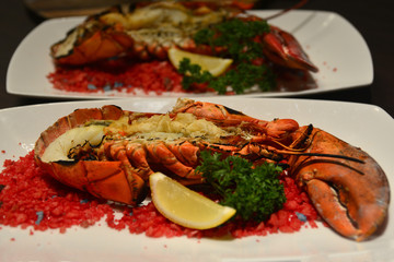 Baked canadian Lobster with Cheese on Plate in Hotel restaurant