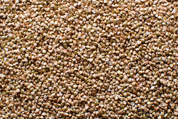 raw green buckwheat background