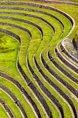 Agricultural terracing of Moray, Peru