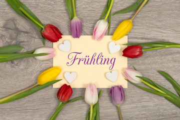 Tulpen und Karte: Frühling
