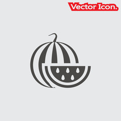 watermelon icon isolated sign symbol and flat style for app, web and digital design. Vector illustration.