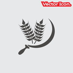 wheat icon isolated sign symbol and flat style for app, web and digital design. Vector illustration.